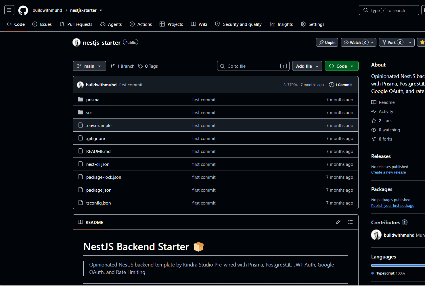 NestJS Starter interface preview